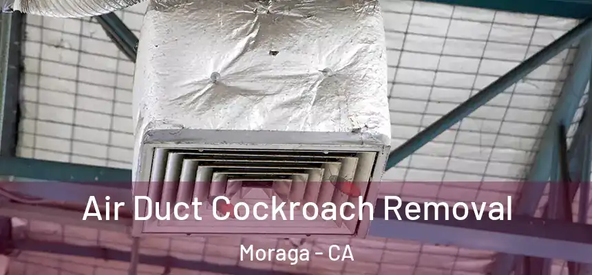  Air Duct Cockroach Removal Moraga - CA