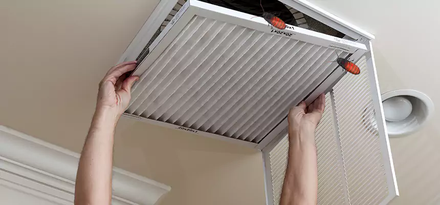 Preventive Cockroach-Proofing for Ducts in Moraga