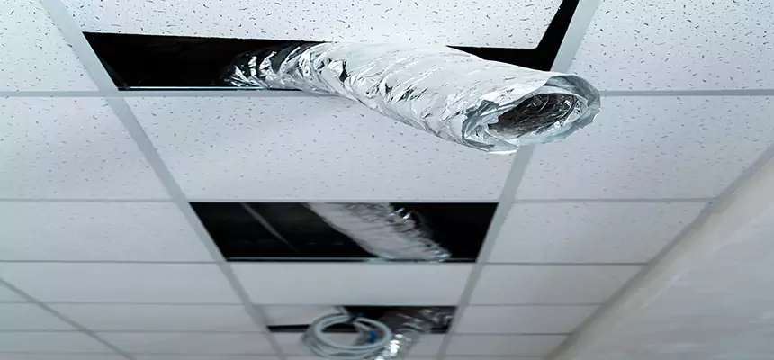 Affordable HVAC Sanitizing After Pest Removal in Moraga