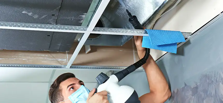 Our Air Duct Rodent Removal Services in Moraga, CA