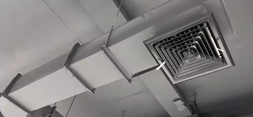 Our Pest Removal From Ducts Services in Moraga, CA