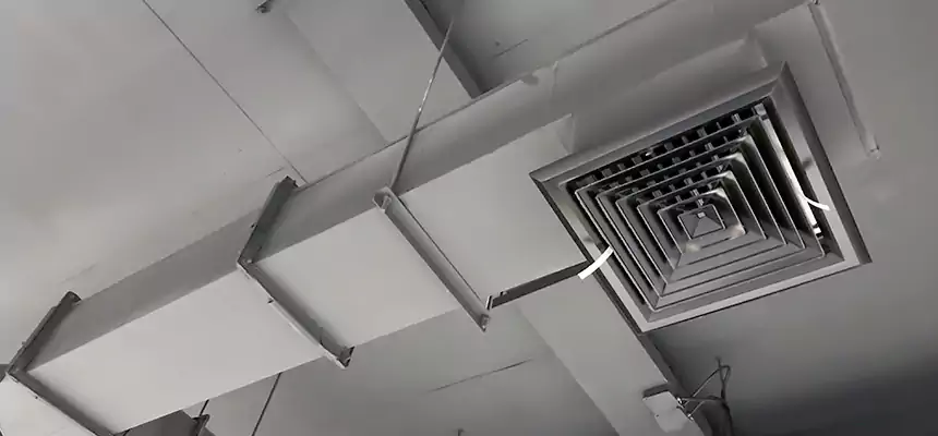 Our Rodent Droppings In Vents Services in Moraga, CA