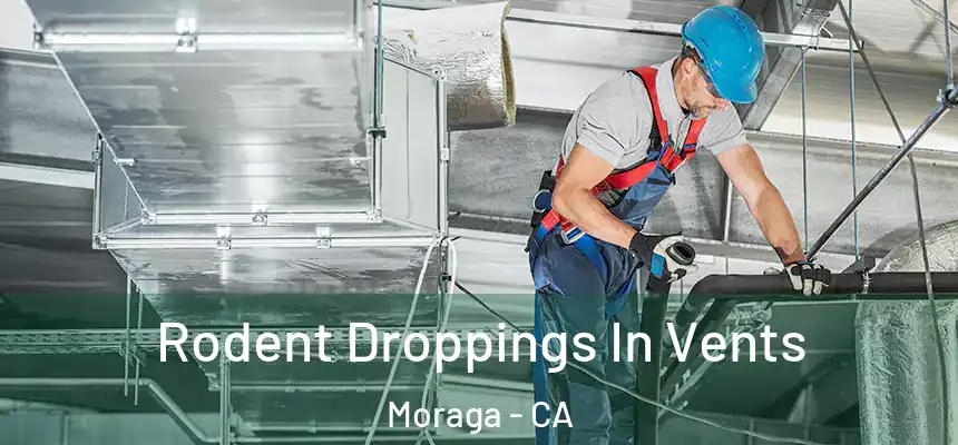  Rodent Droppings In Vents Moraga - CA