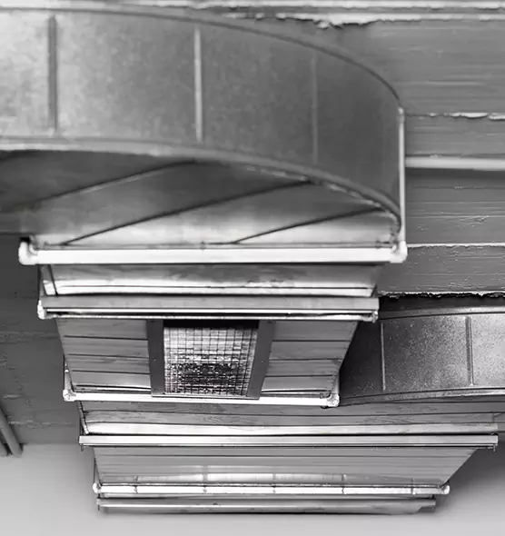 Professional Air Duct Pet Hair Removal in Moraga, CA