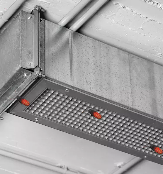 Affordable Insect Removal from Air Ducts in Moraga, CA