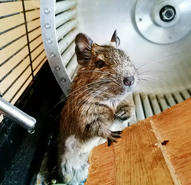 Why Homeowners & Businesses Trust Us Moraga, CA?