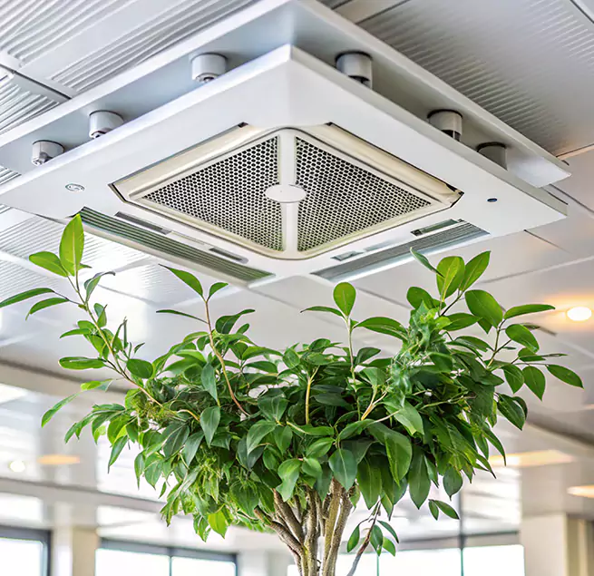 Why Homeowners & Businesses Trust Us in Moraga, CA?